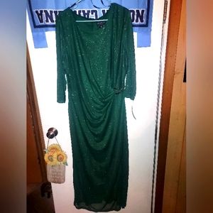 Beautiful Shimmery Plus Size Dress